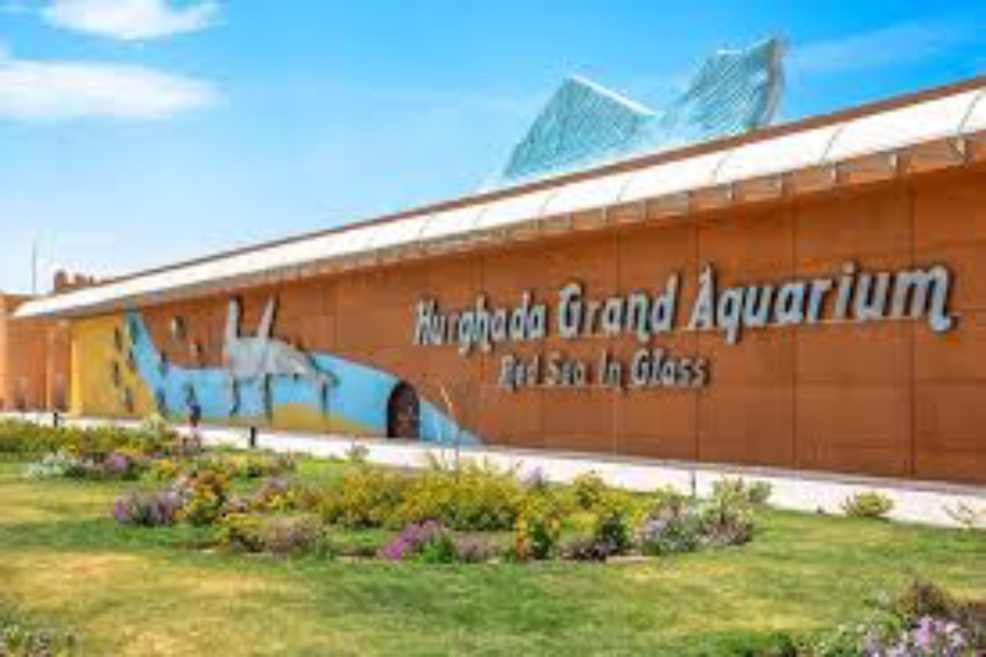 Hurgada Grand aquarium