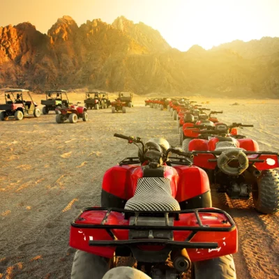 Safari Excursions